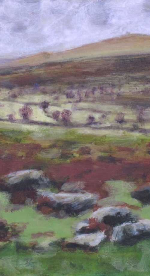 Dartmoor - rocks and  trees by Hugo Lines
