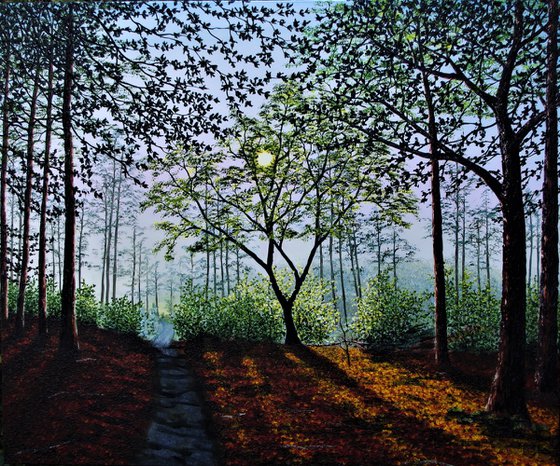 Autumn Light In The Forest. 100cm X 120cm