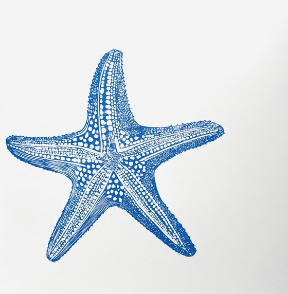 Starfish