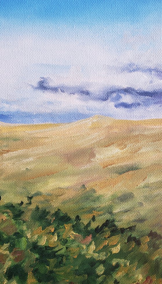 Prairie Wind - Landscape