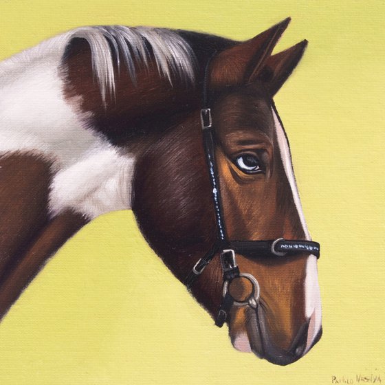 Horse Portrait 69