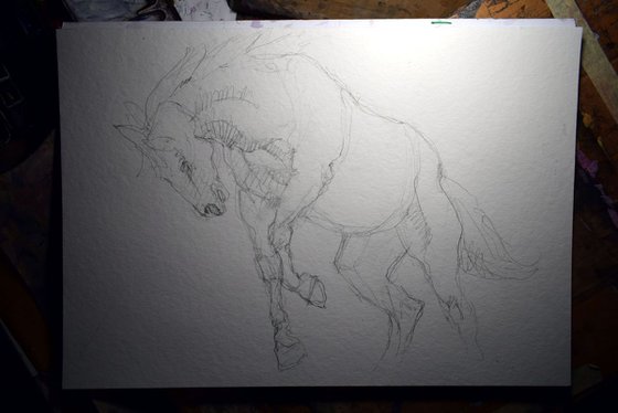 Running  horse study 8