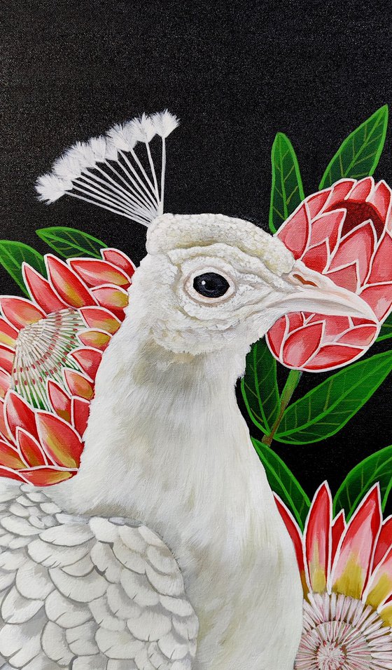 The Majestic Treasures of Nature