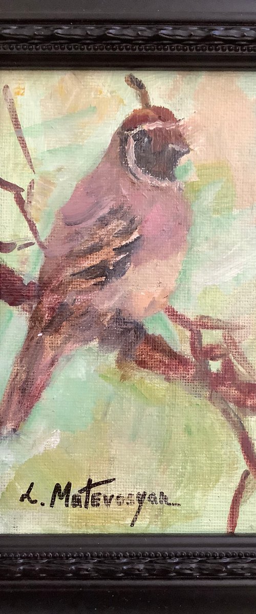 Quail by Lia Matevosyan Haselton