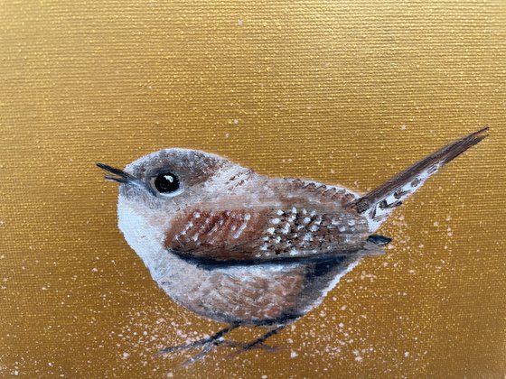 Two Little Wrens