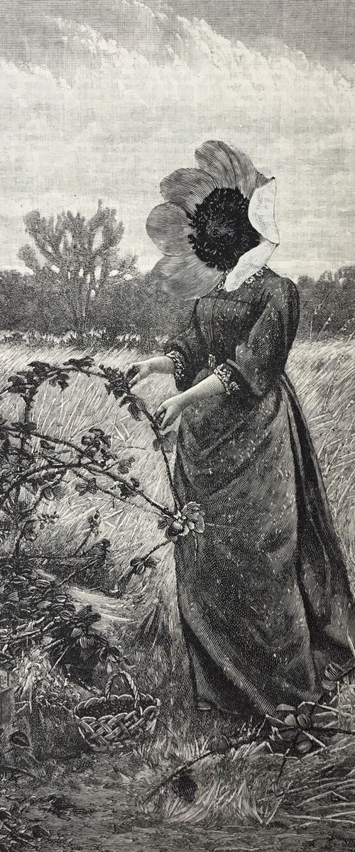 Picking Blackberries by Tudor Evans