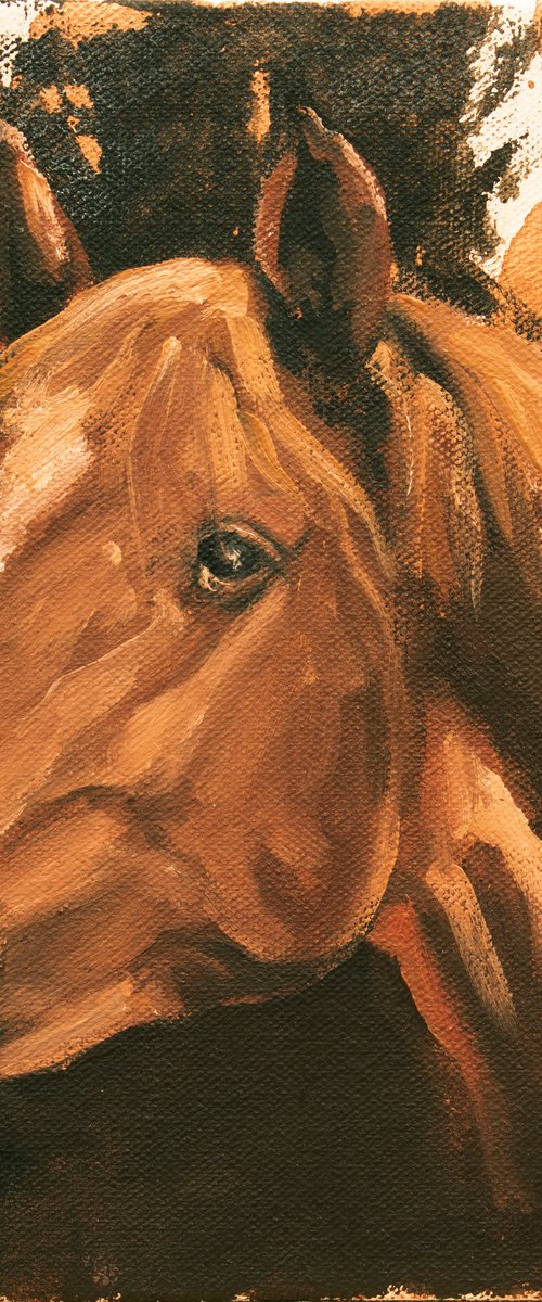 Equine Head Arab Chestnut (study 47) by Zil Hoque