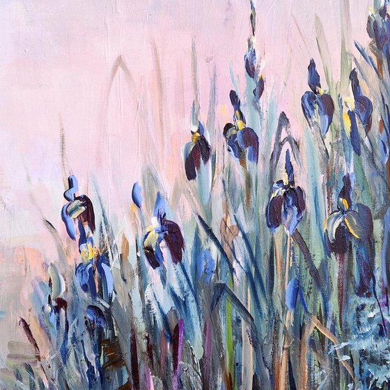 Blue Irises at Dawn