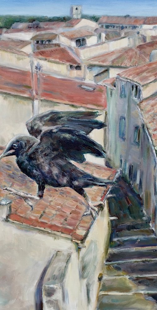 Crow On The Roof, Montpellier Cityscape by Jura Kuba Art