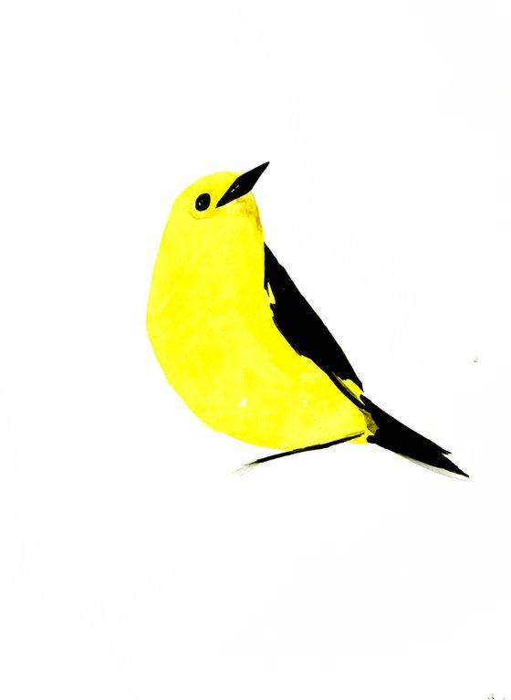 Birds