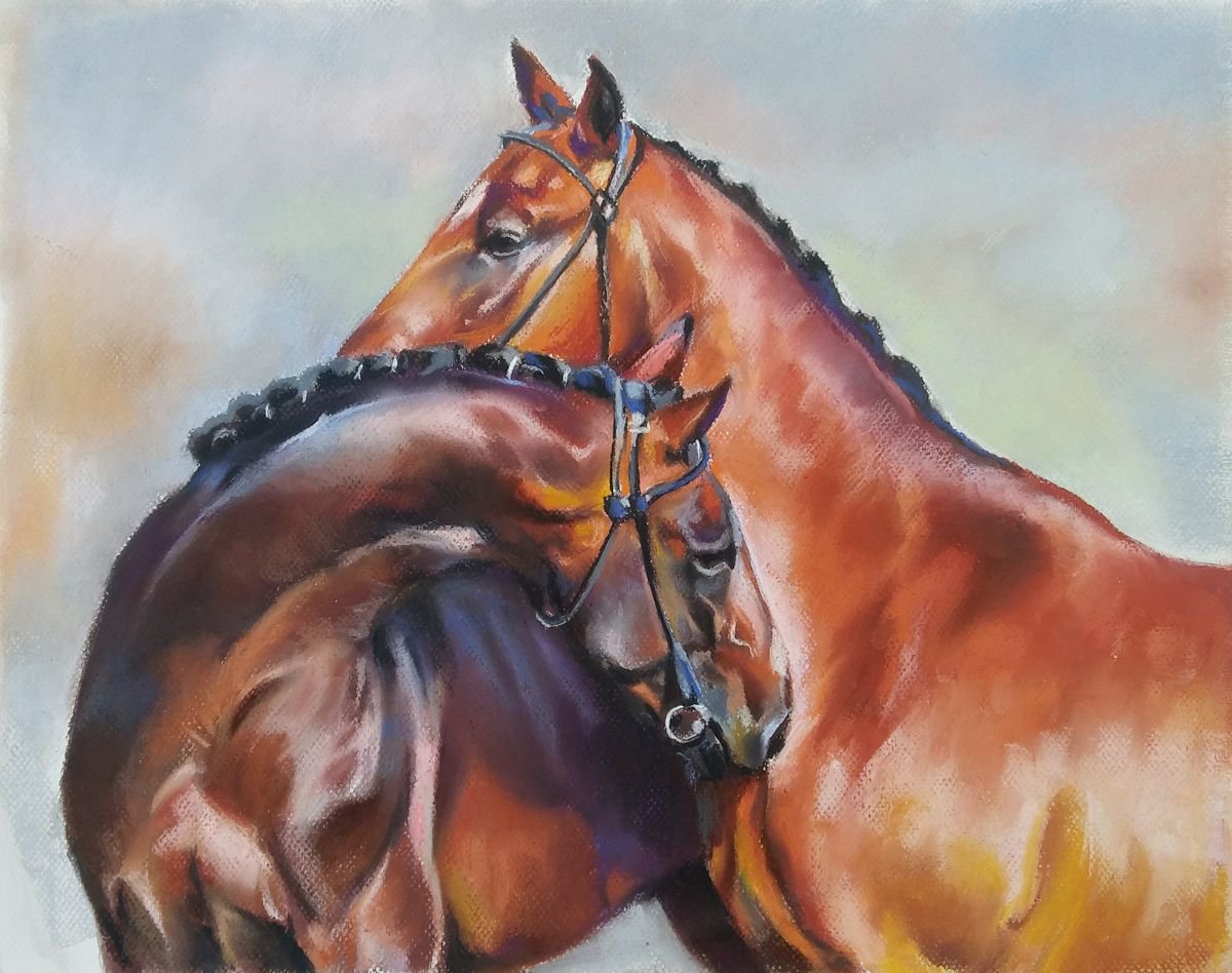 Horses by Magdalena Palega