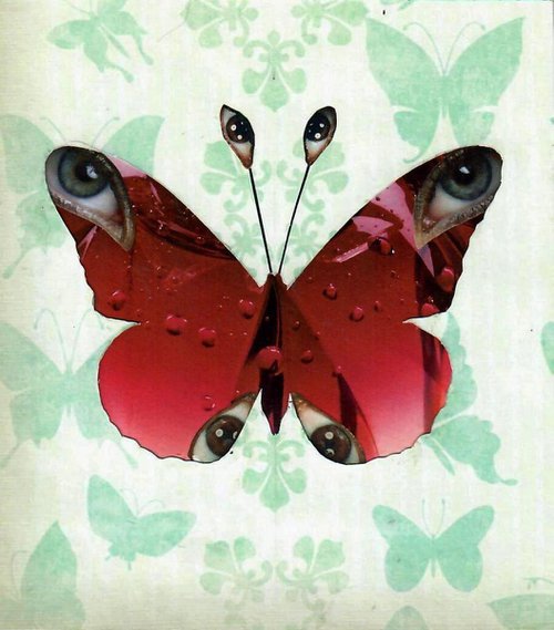 Butterfly by Olga Sennikova