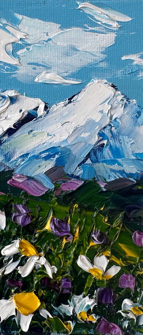 Daisies in the mountains by Oksana Fedorova