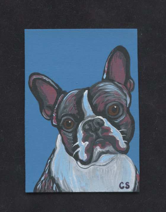 ACEO ATC Original Miniature Painting French Bulldog Pet Dog Art-Carla Smale