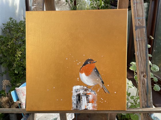 Red Robin in the Snow