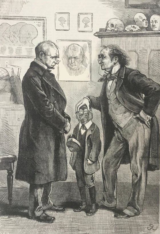 Phrenology and Darwin