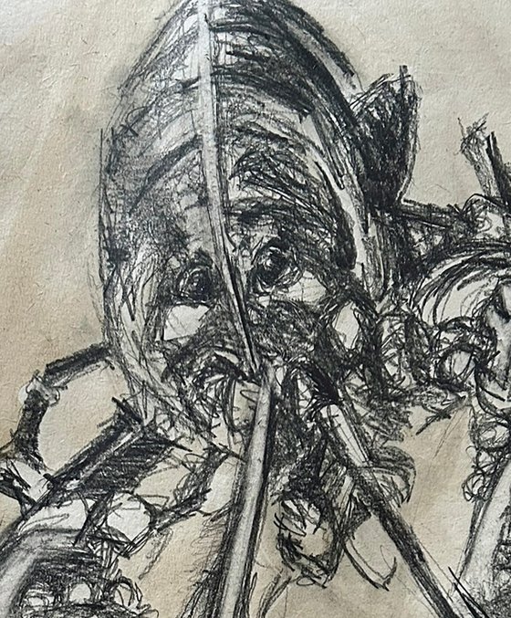 Lobster Sketch