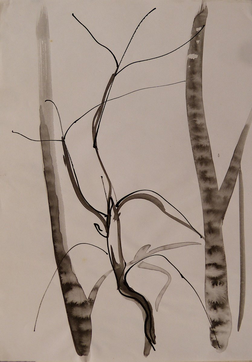 The Tree, original drawing from nature 21x29 cm by Frederic Belaubre