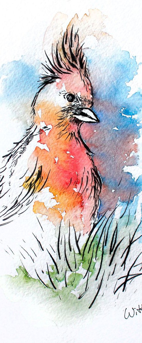 Red bird #2 by Svetlana Wittmann
