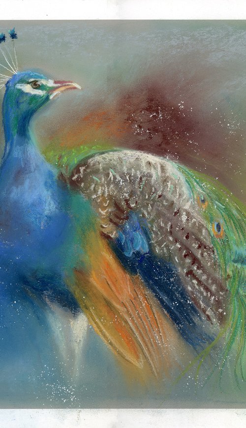 Peacock - Original Pastel Drawing by Olga Tchefranov (Shefranov)