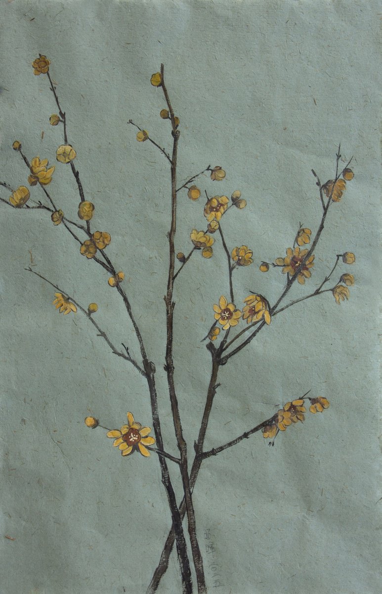 Photorealistic Botanical Acrylic Painting By Zhao Hui Yang, 12 X 19", Wintersweet ( Original ), Original Artwork