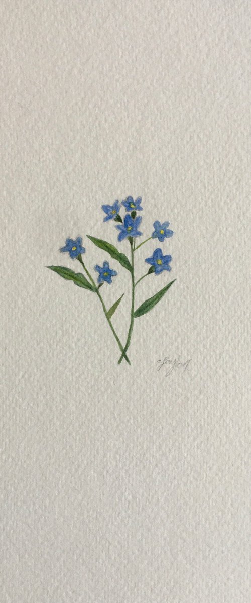 Flower watercolour painting by Amelia Taylor