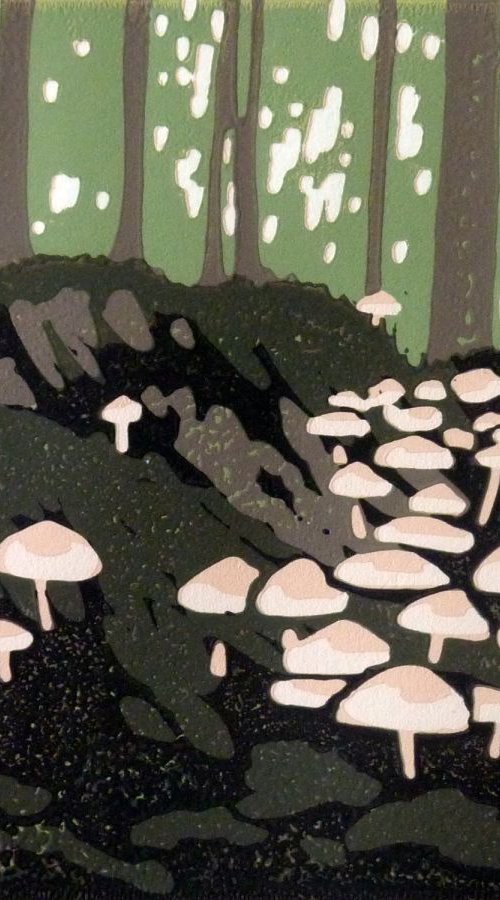 Mini Mushrooms by Alexandra Buckle