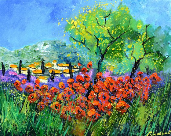Red poppies in Provence - 4523