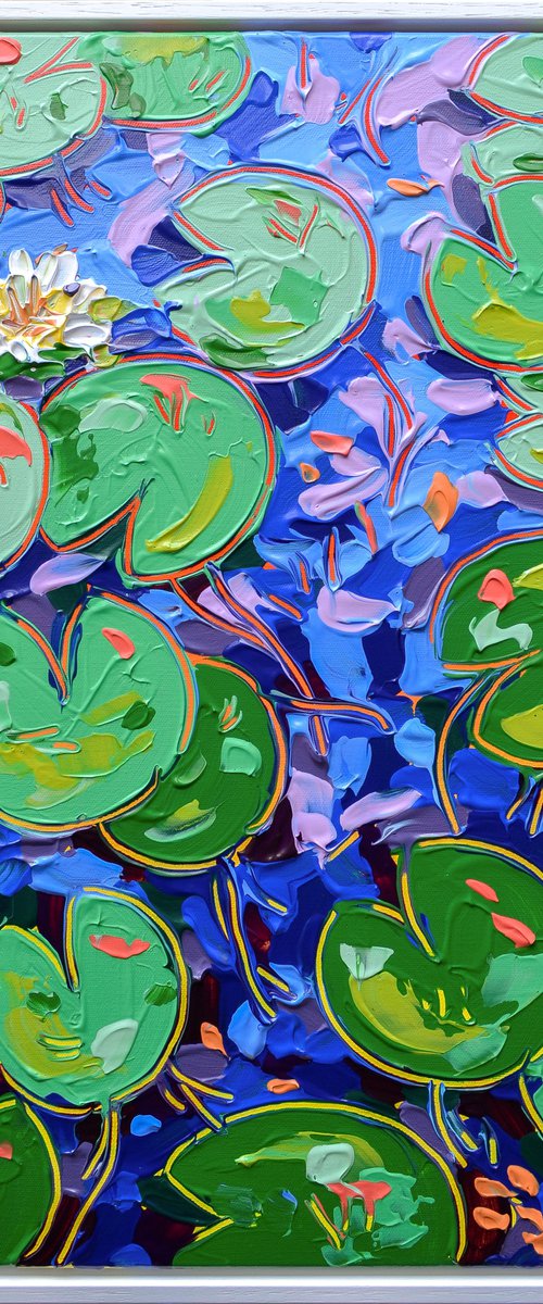 Tasman Lily Pond 25 by Joseph Villanueva