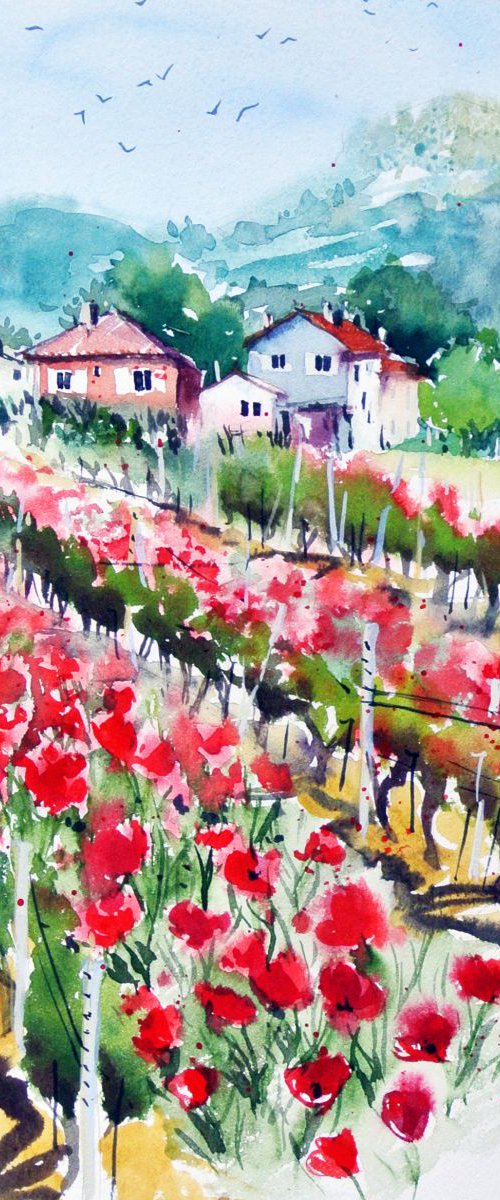 Poppies in the Vineyard by Ksenia Astakhova