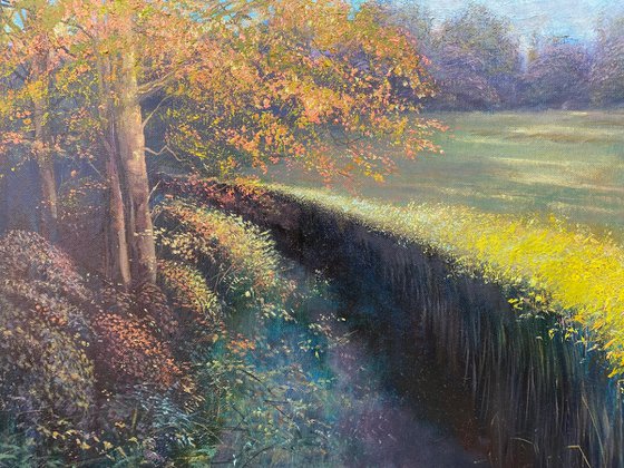 Spring Landscape
