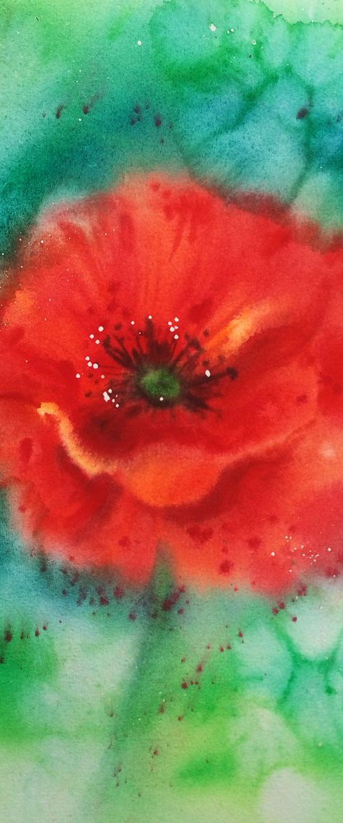 Soul of Poppy - Red Poppy - po by Olga Beliaeva Watercolour