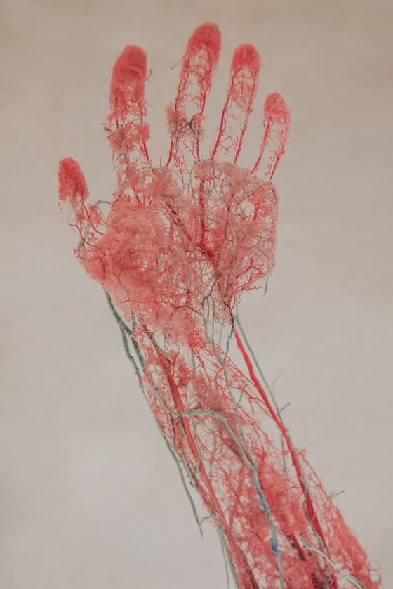 Biological Map No.1