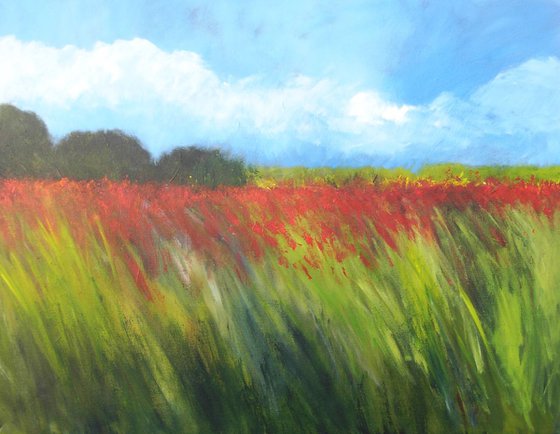 Field of Poppies 4
