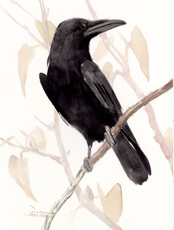Raven