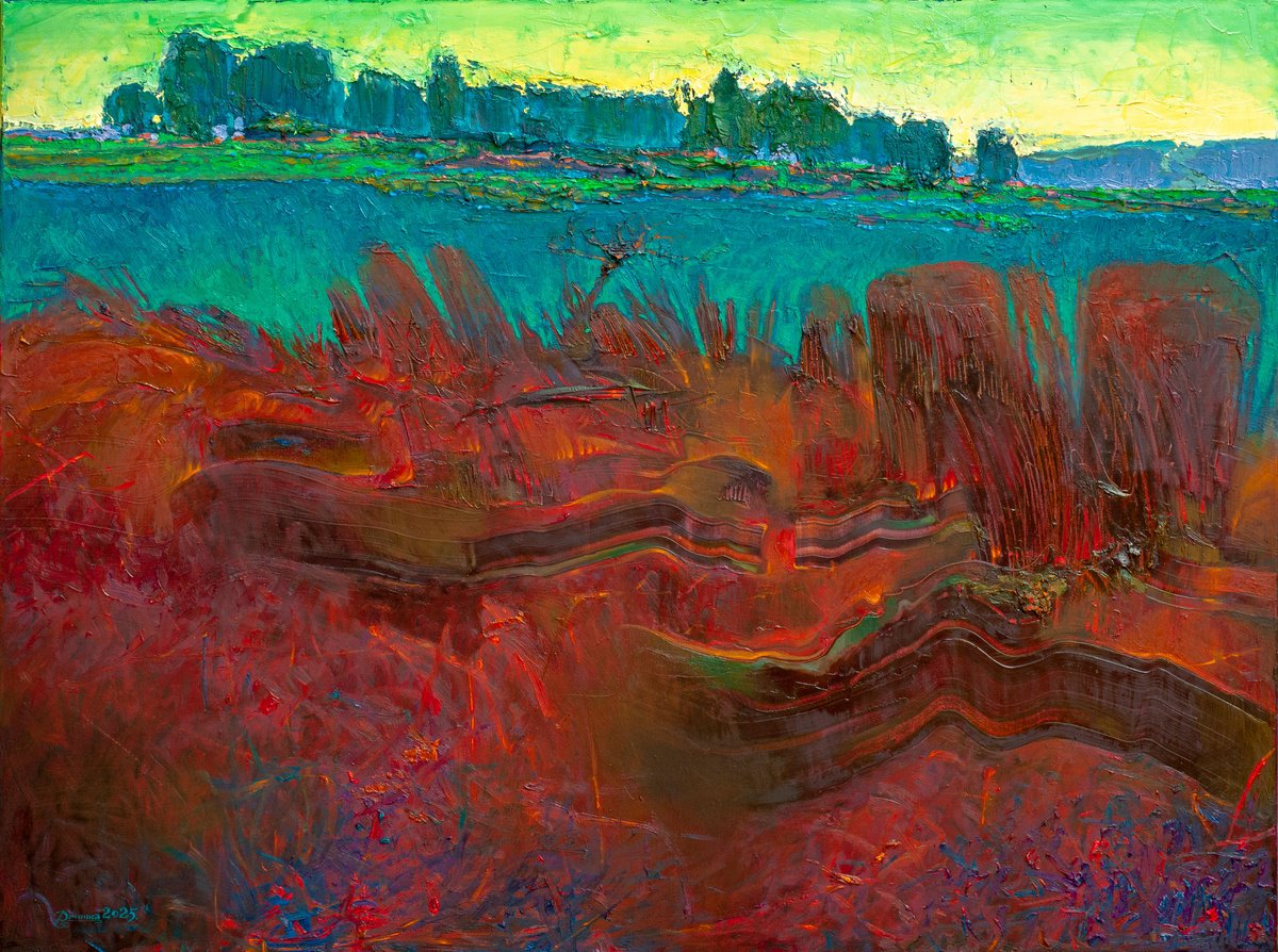 Organic Abstract Oil Painting By Mykola Dzhychka, 47 X 35", Demarcation, Original Artwork