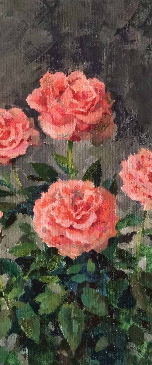 Roses by Olga Goryunova