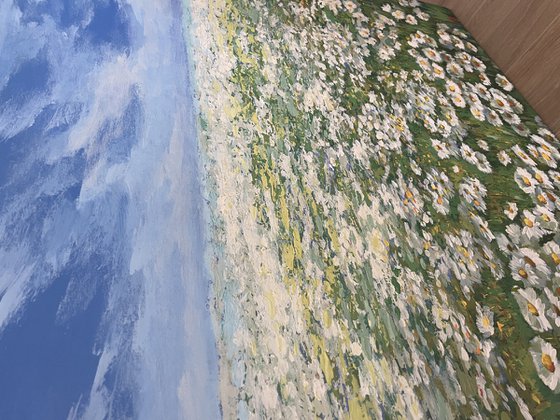 Ocean of Daisy