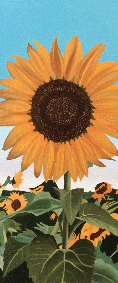Sunflower by Jill Ann Harper