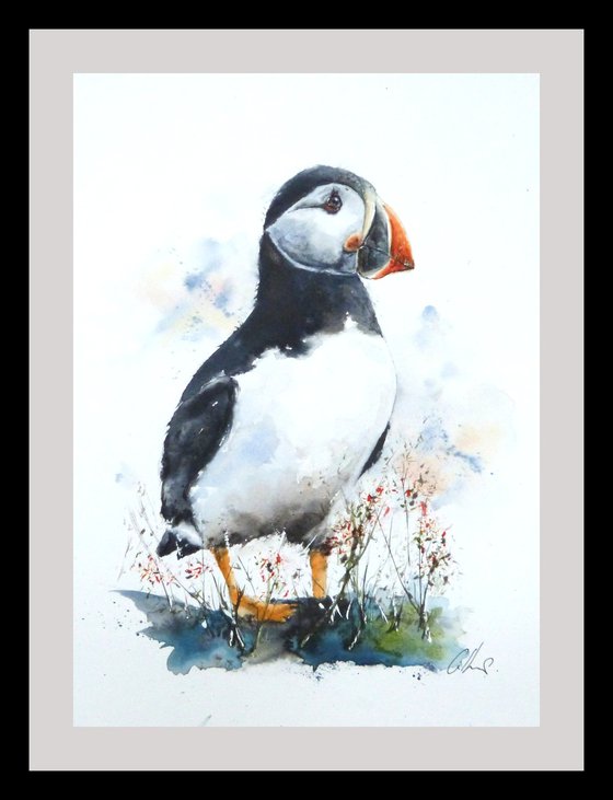 The Puffin.