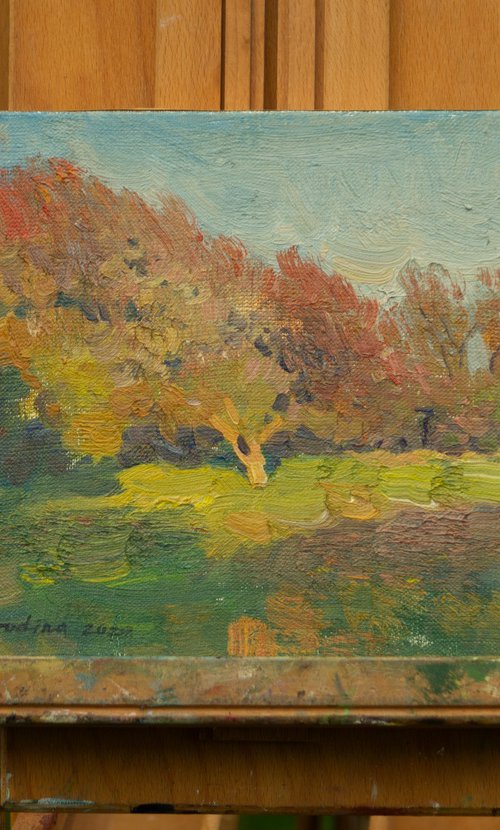 SPRING 2020 by Anastasia Borodina