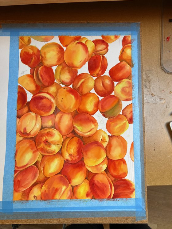 Apricots