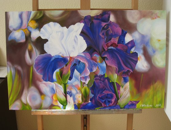 White and Purple Irises