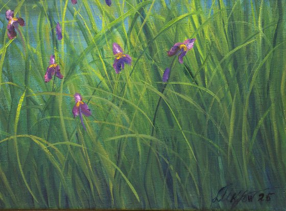 Serene lily pond 2
