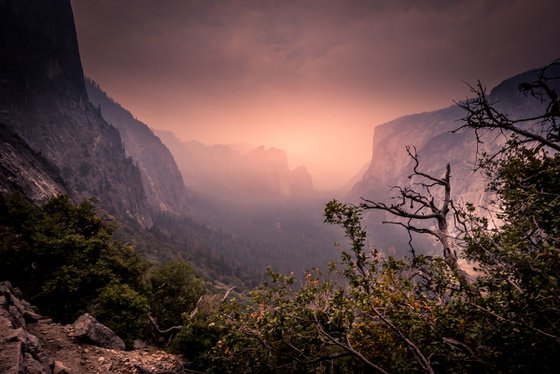 Yosemite Glow