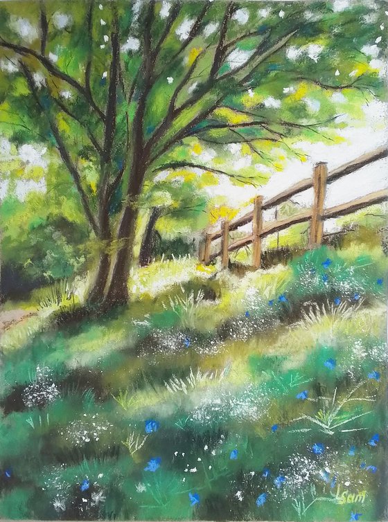 Morning light meadow