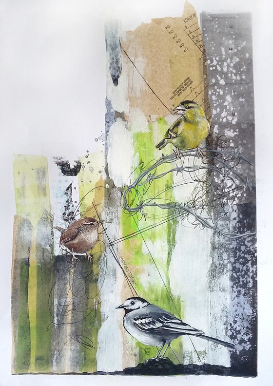 The siskin's song (siskin, wren and pied wagtail painting)