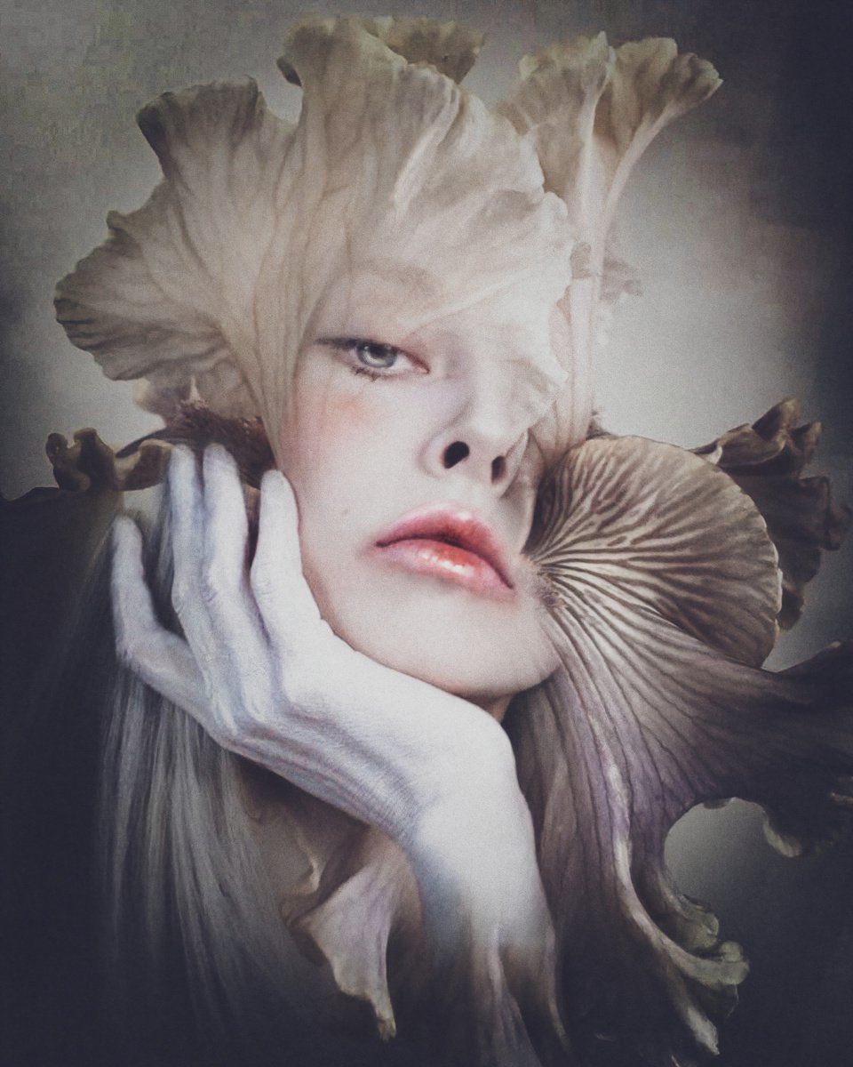 Botanical collection Vol 19. Multi-petal. Art portrait on canvas by Elmira Namazova