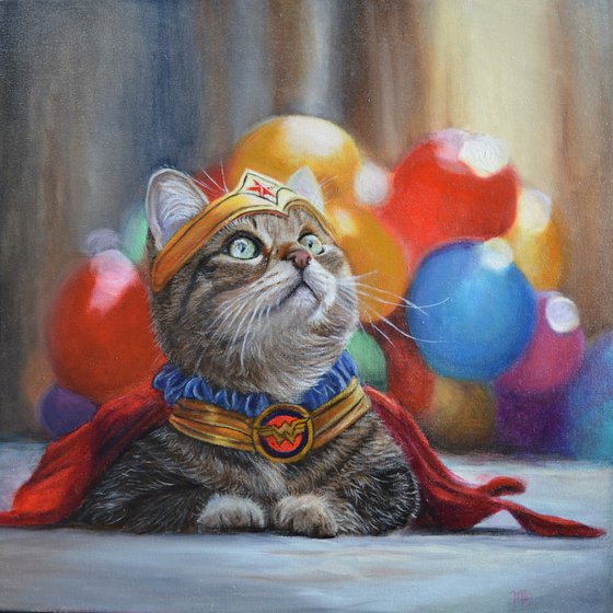 Wonder Cat