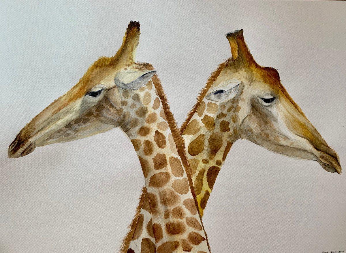 Sleepy Giraffes by Lucia Kasardova